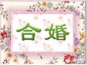 八字合婚：双木八字合婚好不好呀女（双木的婚姻好不好）