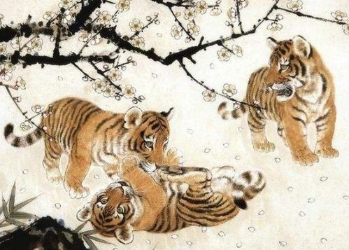 感情运势：生肖男虎的感情运势好吗（属虎男重感情吗）