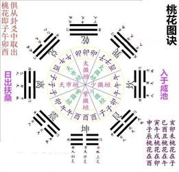 甲木近期运势运程详解（甲木2022运势）