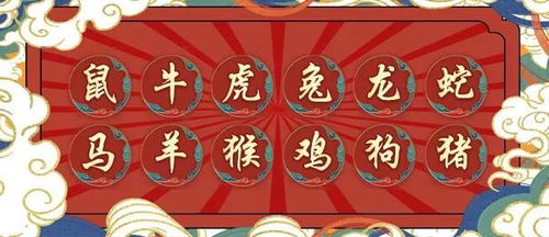 近期运势属相是什么意思（最近的运势）