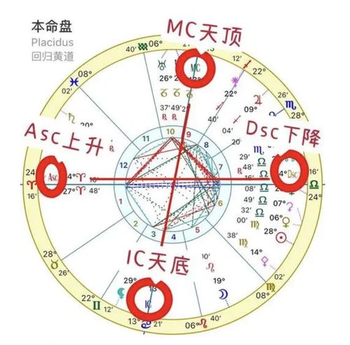 感情运势：星盘感情运势看哪个宫位（星盘感情运势看哪个宫位最准）