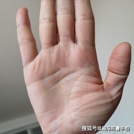 感情运势：怎么看手纹感情运势图（手纹如何看感情线）