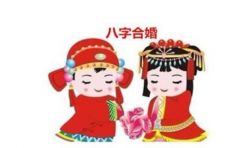 八字合婚：八字命理三合婚配详解男（八字命理三合婚配详解男孩女孩）