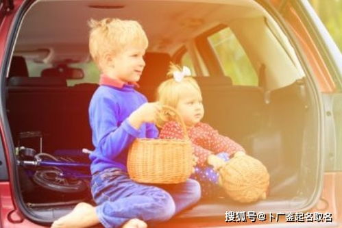 宝宝取名：兔年宝宝取名姓孙怎么取（姓孙免费起名）