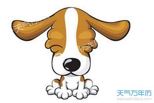 今日运势：沧州生肖狗今日运势（肖狗今日运气）