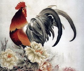 属相鸡近期运势运程男（属鸡男性今年运势）