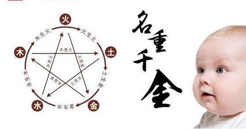 宝宝取名：姓叶的宝宝龙年怎么取名（姓叶的宝宝龙年怎么取名好听）
