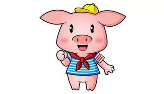 今日运势：金牛属猪女生今日运势（属猪金牛座女今日运势）