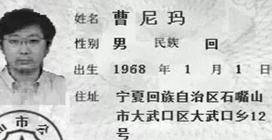 宝宝取名：女虎宝宝姓史怎么取名（女孩子姓史起什么名字好听）