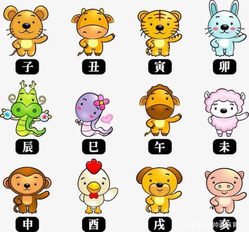 宝宝取名：宝宝属龙姓陈怎么取名（宝宝属龙姓陈怎么取名字）