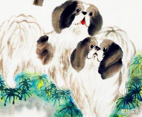 今日运势：查狗人今日运势（属相狗今日运势）