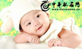 宝宝取名：男宝宝姓龙取名怎么取（男孩姓龙有涵养的名字）
