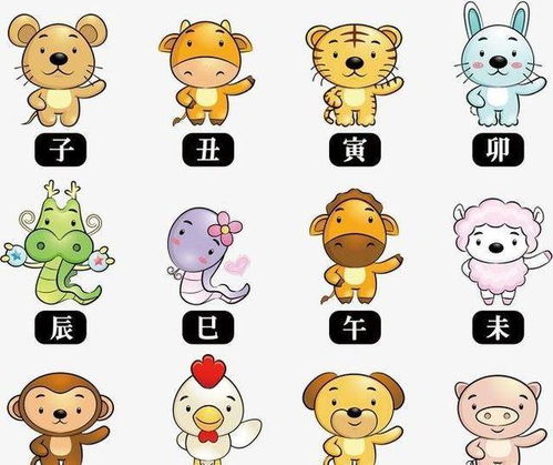 八字合婚：马男和女鼠八字合不合婚（马男和女鼠相配吗）
