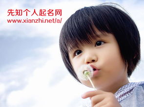 宝宝取名：马年宝宝怎么取名字好呢（马年宝宝名字大全）