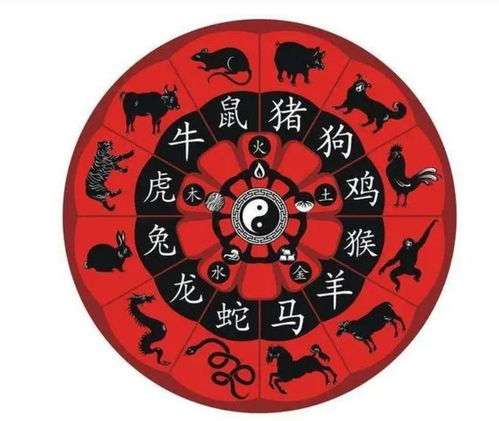 感情运势：2023生肖鼠感情运势（鼠2023年运势）