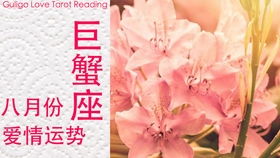 今日运势：今日塔罗牌占卜运势查询（今日塔罗牌爱情占卜）