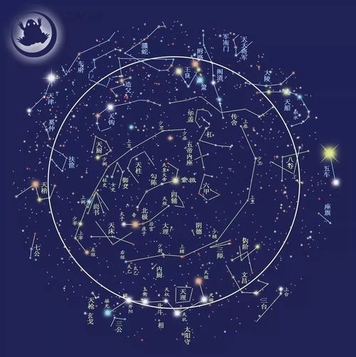 今日运势：张月鹿今日运势（张月鹿星宿好不好）