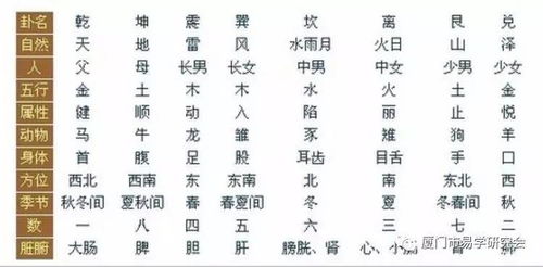 八字合婚：八字阳阴合婚怎么看的出来（八字阴阳婚配）