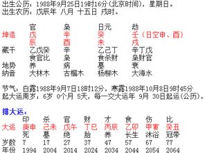 八字合婚：怎么看感情八字合不合婚姻（八字怎样看姻缘感情）