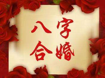 八字合婚：怎么样的八字算合婚了呢（什么算八字合）