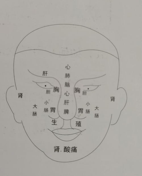 感情运势：面相命理与感情运势分析（面相经验总结）