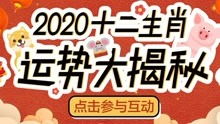 今日运势：今日运势小视频（请播放今日运势）