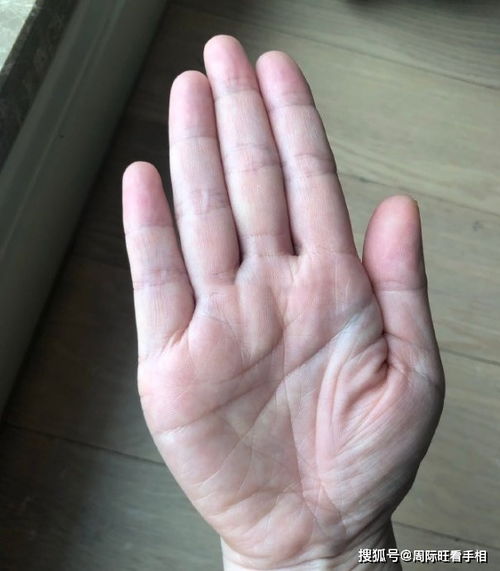 感情运势：手纹查看感情运势怎么看（手纹看爱情）