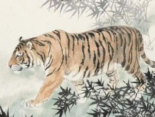 感情运势：属虎人今天的感情运势（属虎人今天运势运程每月运程）