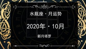 感情运势：命与运如何影响感情运势（命与运的关系）