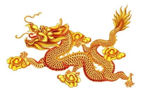 今日运势：1976龙今日运势如何（1976龙今日运势如何看）