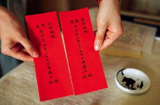 八字合婚：八字合婚书兔和虎什么关系（生辰八字虎和兔）