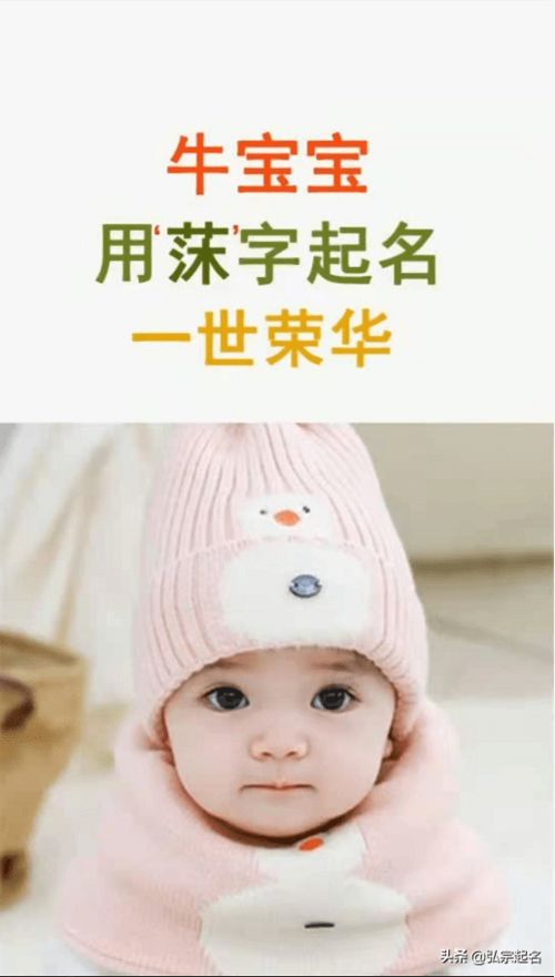 宝宝取名：牛宝宝取名怎么取最好听（牛宝宝如何取名）