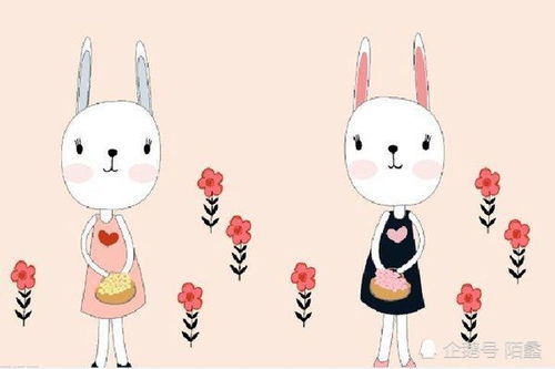 感情运势：生肖兔女5月感情运势（属兔5月份运势怎么样）