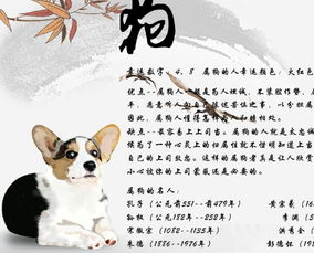 八字合婚：属羊跟属猴八字合不合婚（属羊和属猴的合不合财运）