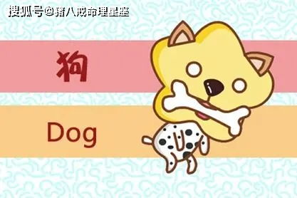 感情运势：属狗农历八月感情运势（属狗的人农历八月的运气）