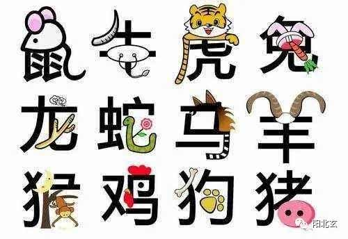 八字合婚：属龙的八字合婚好不好呀（属龙合属相）