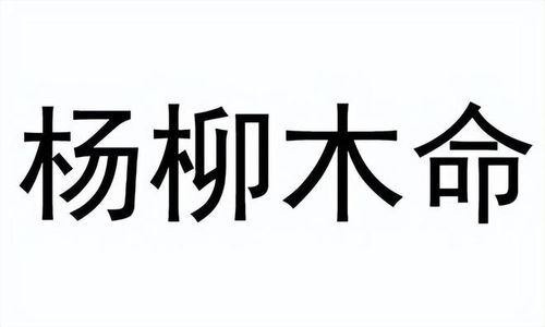 今日运势：杨柳木男今日运势（杨柳木命的幸运数字）