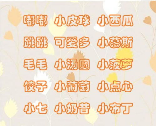 宝宝取名：油茶宝宝取名怎么样好听（油茶取个有寓意的名字）