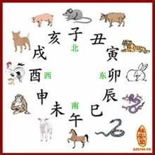 今日运势：今日生肖运势哪里下载（百度今日生肖运势）