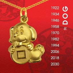 95年金猪近期运势（95年生肖猪今年运势）