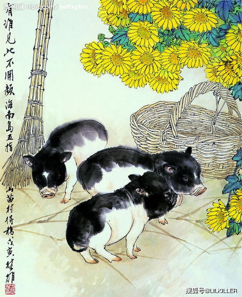 今日运势：乙亥猪今日财运运势（乙亥猪2021）