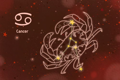 感情运势：上升星座感情运势怎么看（上升星座姻缘）