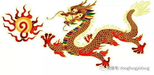 感情运势：龙年5月份感情运势（属龙人5月份运势如何）