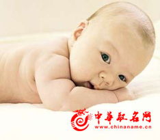 宝宝取名：虎宝宝按时间取名怎么取（虎宝宝按生辰怎么取名）