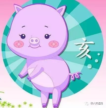 今日运势：庐江生肖猪今日运势（好运生肖猪今日运势）