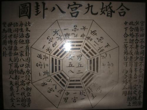 八字合婚：女命八字多合婚姻怎么样（女子八字多合）