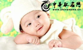 宝宝取名：陀姓兔宝宝取名怎么取（陀姓的来源和历史）