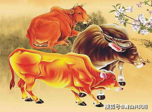 生肖牛近期运势九月（生肖牛9月运势）