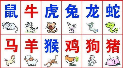 八字合婚：属兔女跟属猴男八字合婚（属兔女跟属猴男的合适结婚吗）