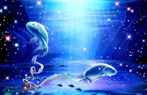 今日运势：金牛星座今日运势女（金牛星座今日运势女第一星座网）